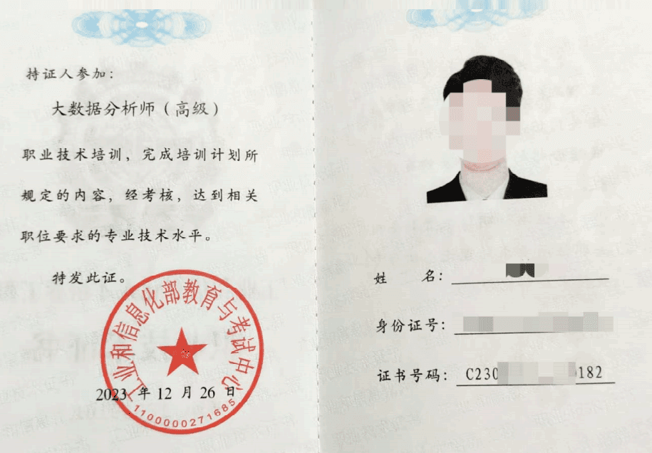 高级大数据分析师